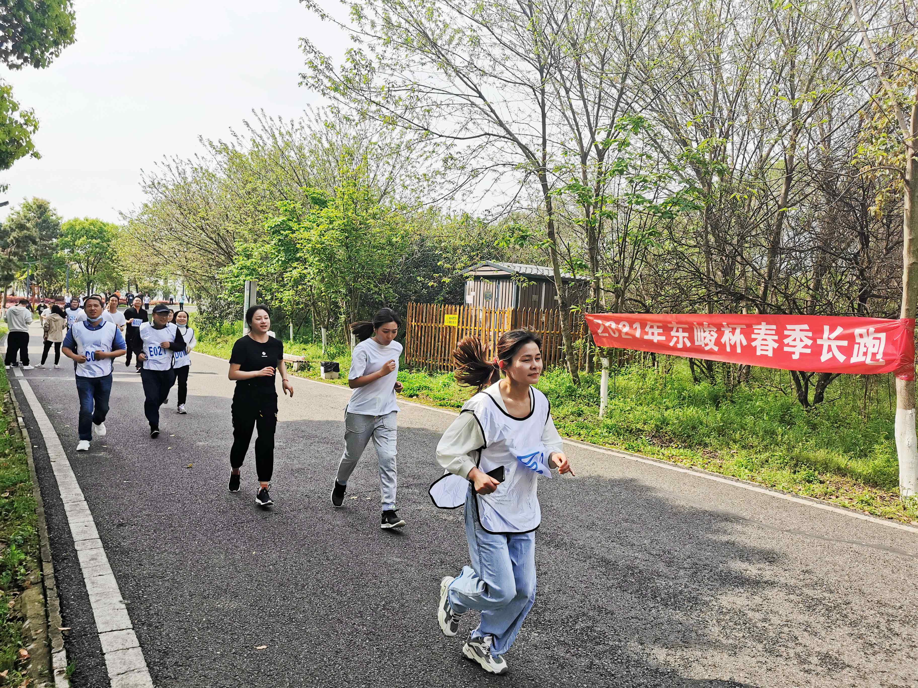 香港免费公开资料大全